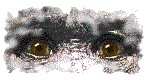 ejemplo de gif a 64 colores